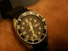 DSC05810 [800x600].JPG