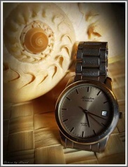 Kwarcowa Adriatica (Titanium)