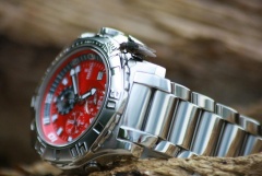 FESTINA 16177-7 + mucha gratis