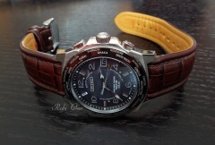 Seiko SAGZ013