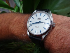 Omega Aqua Terra-2