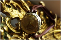 oryginalsuise [800x600].JPG