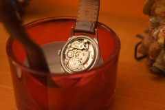 Delbana werk Felsa 465