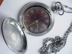 MOLNIA KIESZONKA.JPG