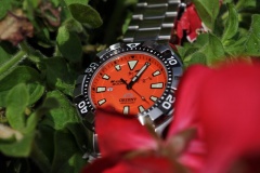 Orient M-Force 200 Orange