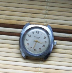 Becha, Vesna, Wiesna