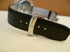 P1020229 (Kopiowanie)