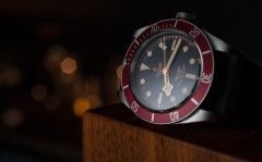 tudor BB