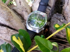 Zielono mi, czyli... Łucz w ogrodzie