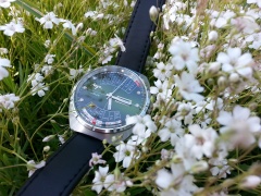 Zielono mi, czyli... Łucz w ogrodzie