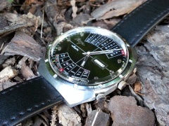 Zielono mi, czyli... Łucz w ogrodzie