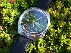 Zielono mi, czyli... Łucz w ogrodzie