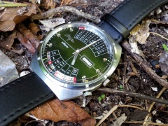 Zielono mi, czyli... Łucz w ogrodzie