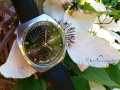 Zielono mi, czyli... Łucz w ogrodzie