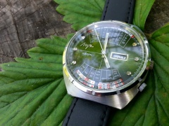 Zielono mi, czyli... Łucz w ogrodzie