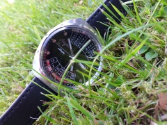 Zielono mi, czyli... Łucz w ogrodzie