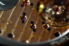 D.Dornblüth & Sohn rocznicowy klubowiec