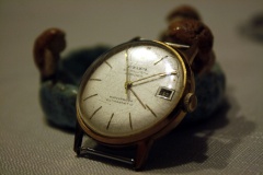 AWA Exklusiv, 21 rubis