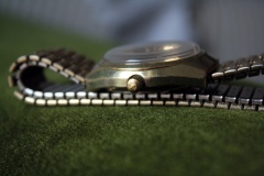 RADO Golden Castle
