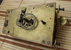 Werk żółty Świebodzicki chodzik żyłkowy