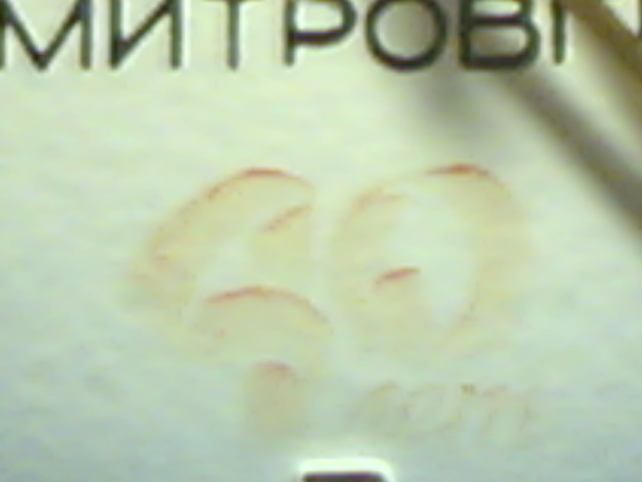 gallery_77228_2027_47104.jpg