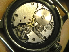 Vostok Dimitrowgrad (werk)