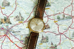 poliot De Lux automat resize