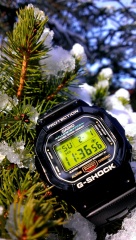 CASIO G-SHOCK DW-5600/MOD