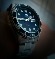 Orient Ray