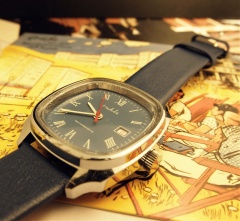 Niebieska tarcza i pasek