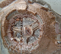 xeno baby G BA 111 4ADR 7