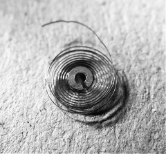 Włos po ciężkich przejściach.