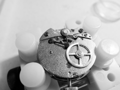 Sprężynka sekundika