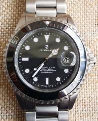 Steinhart 02