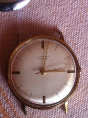 JUNG 1