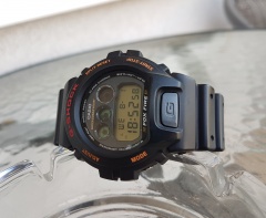 DW-6900 Fox Fire 1995r