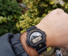 DW-6930C
