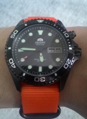 Orient Ray Raven
