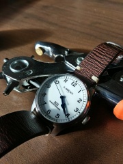 Dywizjon w nowym pasku