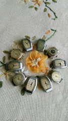 Damki z petrodworca i penzy, głównie :)