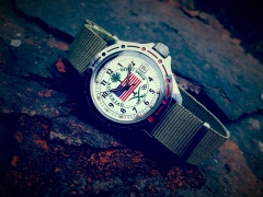 Operation Desert Shield