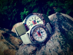 Operation Desert Shield i Desert Storm