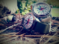 Operation Desert Shield i Desert Storm