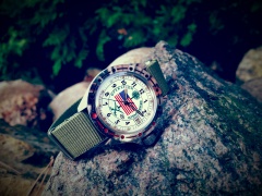 Operation Desert Shield