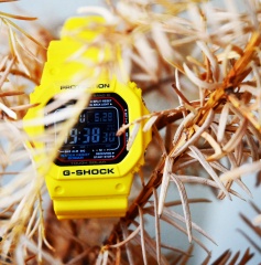 GW-M5610 Yellow mod