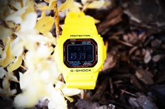 GW-M5610 Yellow mod