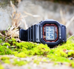 GW-M5610