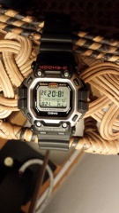 DW 8300