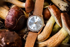 Poljot 29j (2416) pr. 583