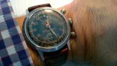 WP 20161121 12 21 23 Pro[1]